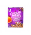 Boni Selection Crunchy muesli chocolate 750 gr