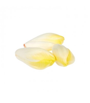 Chicons (endives) extra Flandria 1 kg