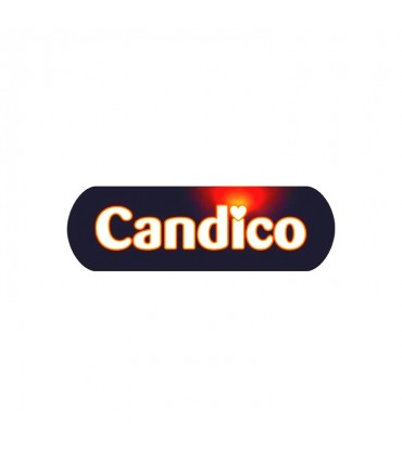 Candico sucre candi Ambre 500 gr Candico - 3