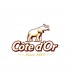 Cote d'Or dark chocolate logo