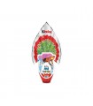 Reuze Kinder Surprise Disney Prinses 150 gr