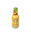 Arizona mucho mango 500 ml