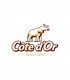 Cote d'or logo