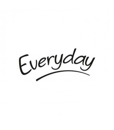 EVERYDAY logo