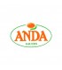 Anda logo