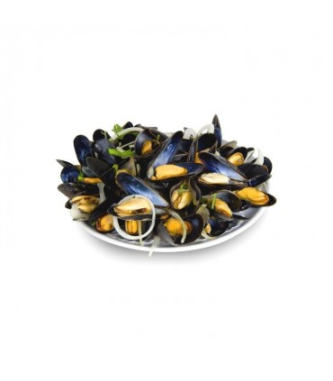 cooked Zeeland Jumbo mussels