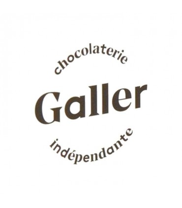 Galler logo