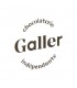 Galler logo