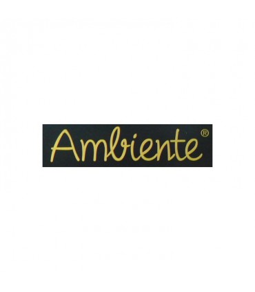 Ambiente logo