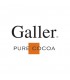 galler logo