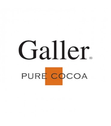 galler logo